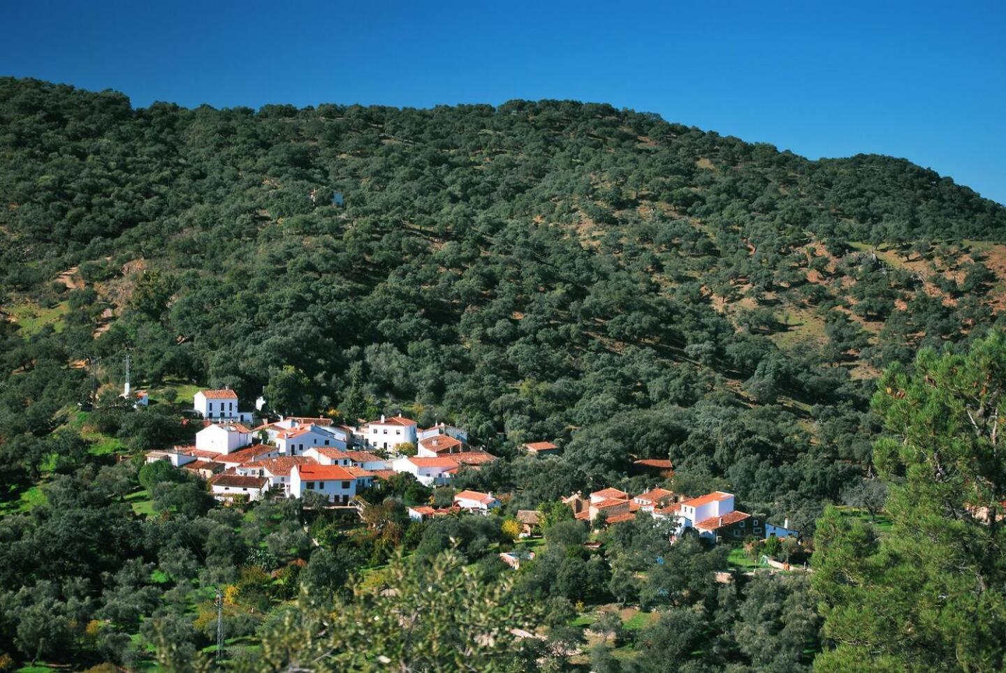 Casa Rural El Olivo Арасена Экстерьер фото